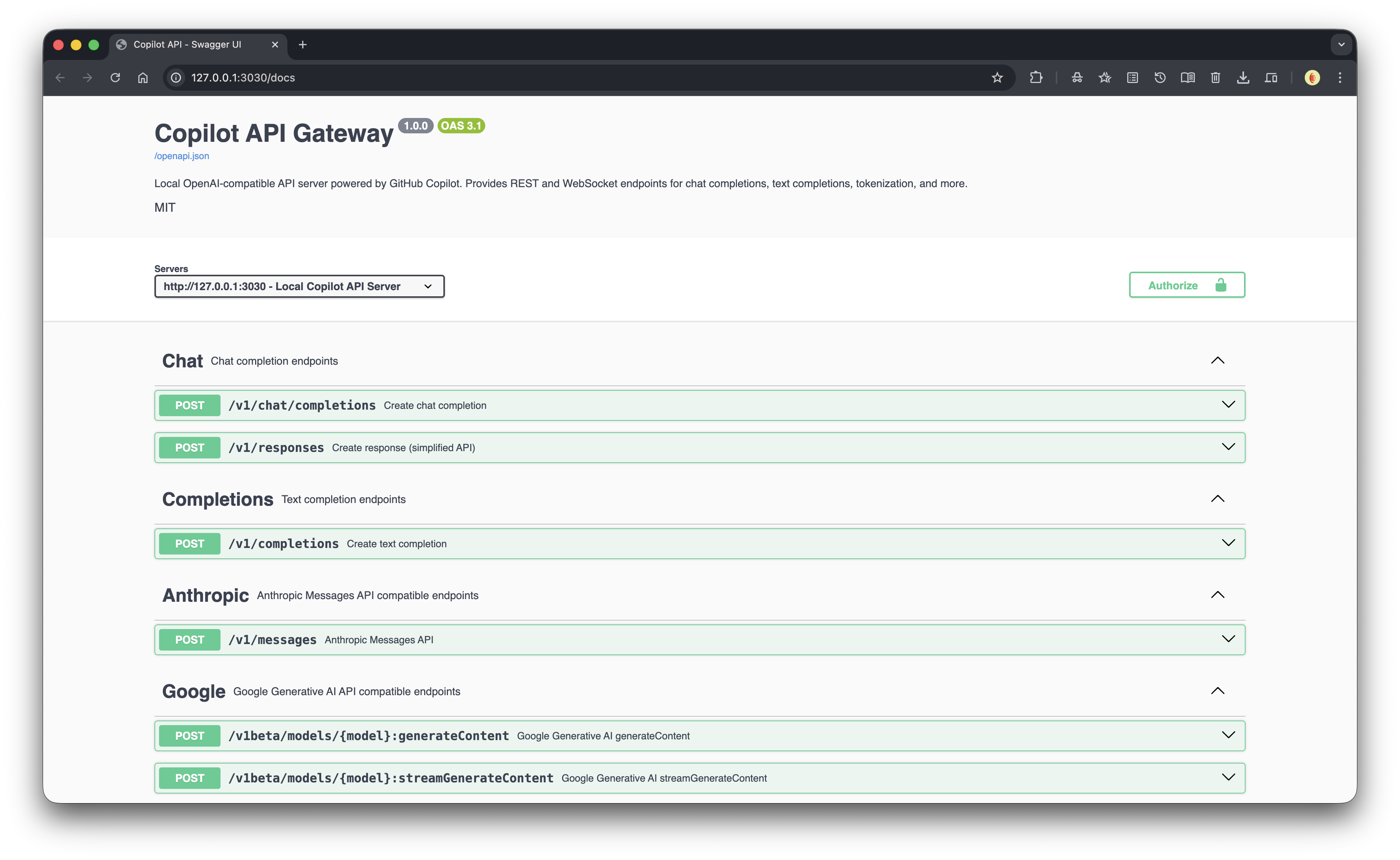 Swagger API Documentation